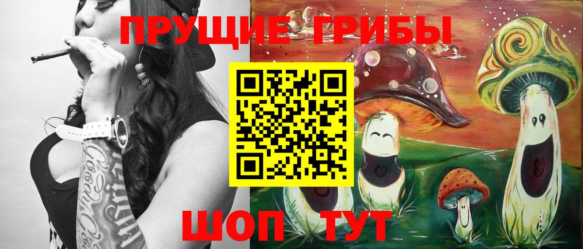 Псилоцибиновые грибы GOLDEN TEACHER Коломна